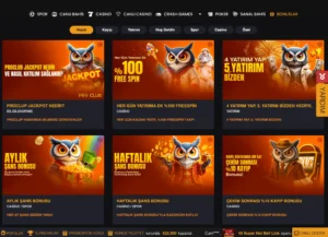 Hipbet Giriş Rehberi ve Bonus Bilgileri 2025 4 hipbet bonuslar